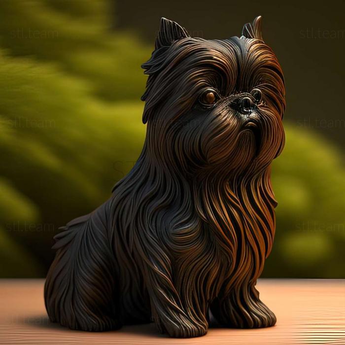 Animals Affenpinscher dog